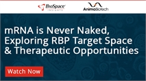 Webinar: mRNA Is Never Naked, Exploring RBP Target Space & Therapeutic Opportunities